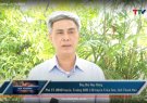 Chương trình TTV "Trang địa phương - Triệu Sơn" phát trên Đài PT - TH Thanh Hoá (18h30