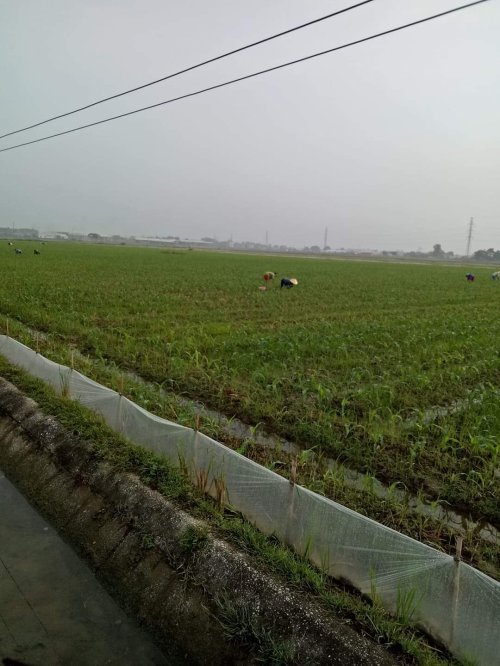 received_2711291708936226.jpeg