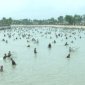 Ngày hội bắt cá tại xã Xuân Thọ.