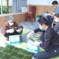Bánh lá răng bừa Minh Huế xã Dân Lực sản phẩm đạt OCOP 3 sao
