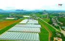 Thanh Hóa phát triển nông nghiệp thông minh