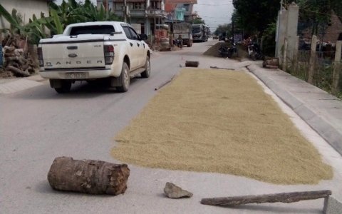Cần khắc phục tình trạng phơi lúa, rơm, rạ trên các tuyến đường Quốc lộ, Tỉnh lộ.