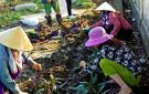 Hội Phụ Nữ xã Thọ Dân phát động phong trào làm vệ sinh môi trường, trồng hoa thay thế có dại