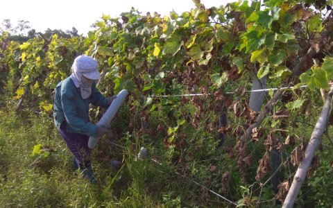 Xã Hợp Tiến đẩy mạnh chương trình xây dựng NTM trên địa bàn.