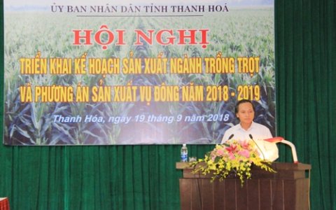 Tỉnh Thanh Hoá triển khai kế hoạch sản xuất ngành trồng trọt năm 2019 và Phương án sản xuất vụ Đông năm 2018 - 2019.