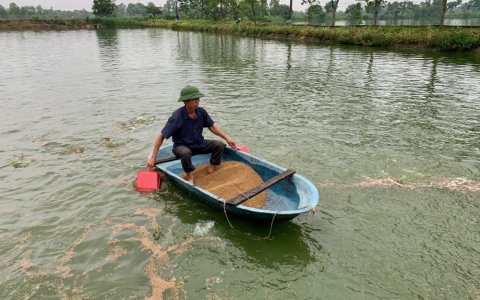 Gương Cựu chiến binh giỏi trong phong trào phát triển kinh tế và xây dựng Chi bộ trong sạch vững mạnh.