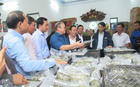 Hơn 10.000 chiếc bánh chưng và nhiều hàng nhu yếu phẩm từ huyện Triệu Sơn được chuyển đi các tỉnh miền Trung