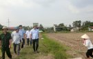 Bí thư Huyện ủy Lê Văn Tuấn kiểm tra, chỉ đạo đẩy nhanh tiến độ sản xuất vụ đông trên địa bàn huyện. 