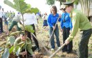 Tuổi trẻ Triệu Sơn với Chương trình “ Góp một cây xanh, vì một Việt Nam xanh”