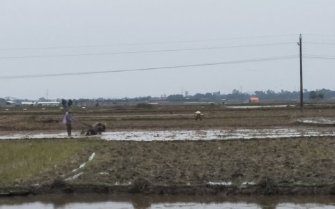 UBND huyện tổ chức hội nghị giao ban công tác phòng chống dịch bệnh cho đàn gia súc, gia cầm và sản xuất vụ chiêm xuân 2019.