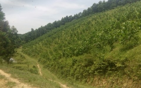 Xã Bình Sơn tăng cường công tác phòng cháy chữa cháy rừng năm 2019