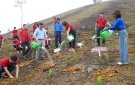 Đoàn Thanh niên Agribank Thanh Hóa tặng 15.000 cây keo xanh cho người dân xã Bình Sơn và 30 cây hoa Ban cho chùa Quần Hậu, xã An Nông