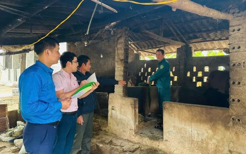 Ban đại diện Hội đồng quản trị NHCSXH huyện Triệu Sơn thực hiện tốt công tác kiểm tra, giám sát