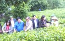 Trung ương Hội Nông dân Việt Nam thăm và làm việc tại huyện Triệu Sơn