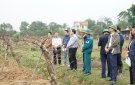   Chủ tịch UBND huyện Vũ Đức Kính, thăm, kiểm tra công tác chuyển đổi cơ cấu cây trồng tại các xã.