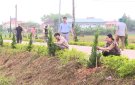 Xã Hợp Thành trồng hoa và cây xanh xây dựng thôn nông thôn mới nâng cao