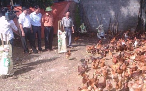 Những cái mới ở vùng nông thôn Triệu Sơn