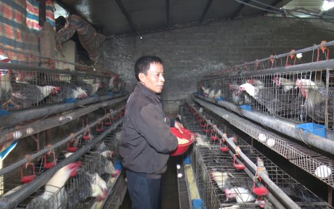 Bác Nguyễn Văn Kỳ xã Minh Sơn làm giàu từ mô hình trang trại tổng hợp