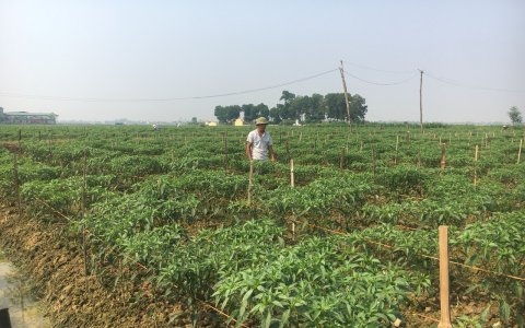 Hội Nông dân Huyện Triệu Sơn đẩy mạnh các phong trào thi đua chào mừng kỷ niệm 88 năm ngày thành lập hội nông dân Việt Nam (14/10/1930 – 14/10/2018)