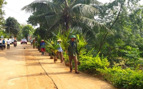 Xã Minh Sơn xây dựng tuyến đường “Hàng cau nông dân”.