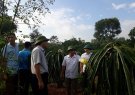 Đồng chí Lê Kim Chất Phó Bí thư thường trực Huyện ủy làm việc với xã Thọ Tân về tình hình thực hiện nhiệm vụ 8 tháng đầu năm 2017