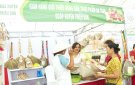 Phiên chợ giới thiệu Nông sản thực phẩm an toàn, tỉnh Thanh Hóa tại thị trấn Triệu Sơn