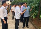 UBND huyện tổ chức thăm quan học tập kinh nghiệm mô hình cây ăn quả tại tỉnh Hòa Bình và tỉnh Sơn La.