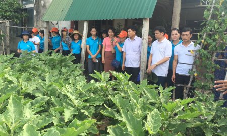 Hội phụ nữ huyện tổ chức thăm quan học tập mô hình" nhà sạch- vườn mẫu" tại tỉnh Nghệ an và Hà Tĩnh.
